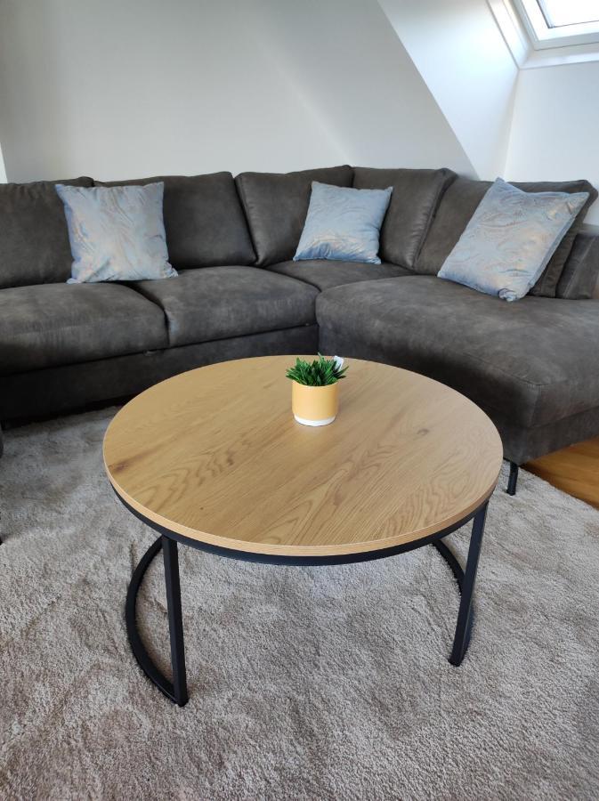 Luxurioeses Penthouse Mit Blick Auf Die Uno-City Und Dem Kaiserwasser. 3Schlafzimmer, 2 Baeder, Privat Lift Ins Apartment 维也纳 外观 照片