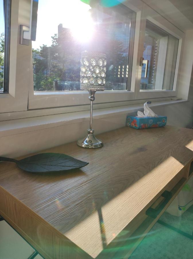 Luxurioeses Penthouse Mit Blick Auf Die Uno-City Und Dem Kaiserwasser. 3Schlafzimmer, 2 Baeder, Privat Lift Ins Apartment 维也纳 外观 照片