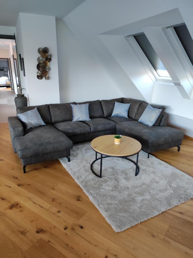 Luxurioeses Penthouse Mit Blick Auf Die Uno-City Und Dem Kaiserwasser. 3Schlafzimmer, 2 Baeder, Privat Lift Ins Apartment 维也纳 外观 照片